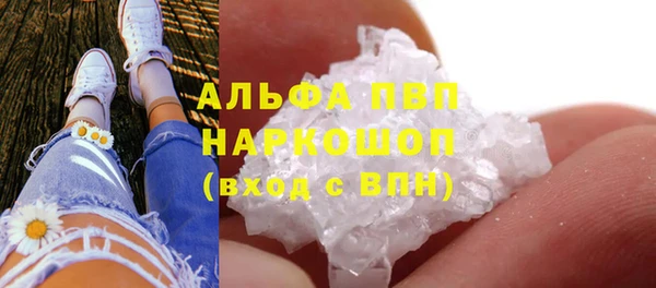 индика Тайга