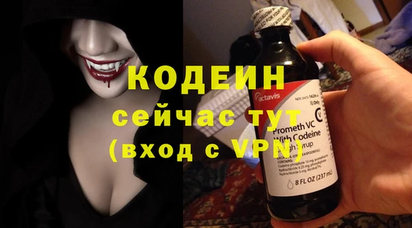 СК Струнино
