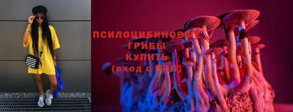 СК Струнино
