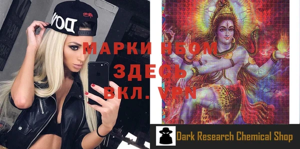 ГАЛЛЮЦИНОГЕННЫЕ ГРИБЫ Строитель
