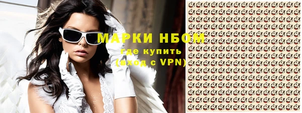 ГАЛЛЮЦИНОГЕННЫЕ ГРИБЫ Строитель