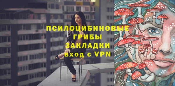 спиды Сясьстрой