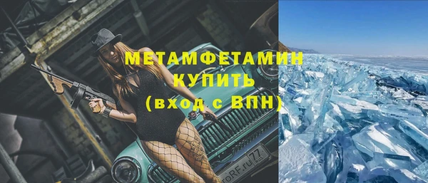 индика Тайга