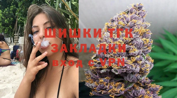 ГАЛЛЮЦИНОГЕННЫЕ ГРИБЫ Строитель