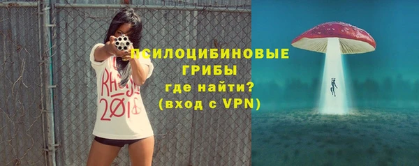 2c-b Тавда